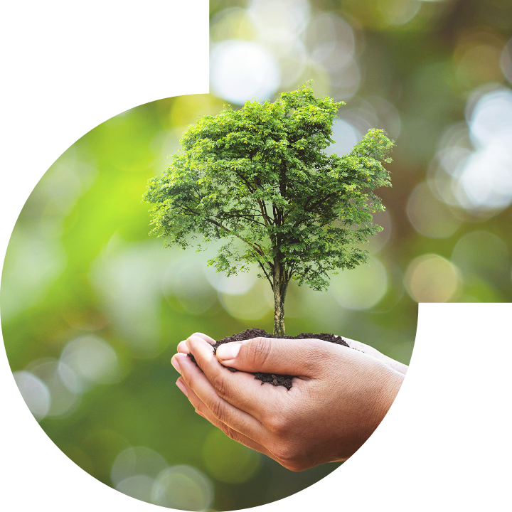 关怀人类、文化、环境与社会